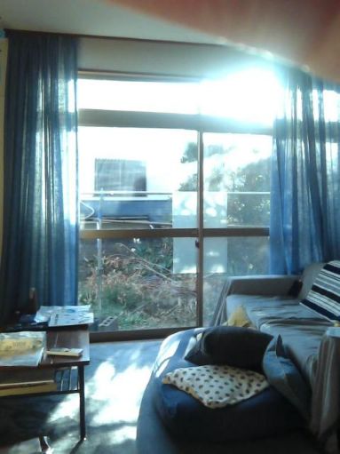 築47年戸建て住宅の室内窓から見た庭の様子